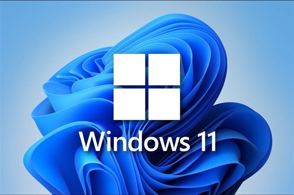 Win11更新出问题？2个方法解决指纹用不了