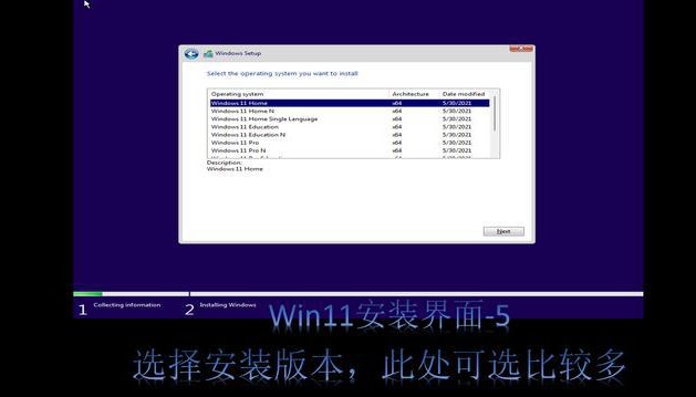 4-选择win11安装版本