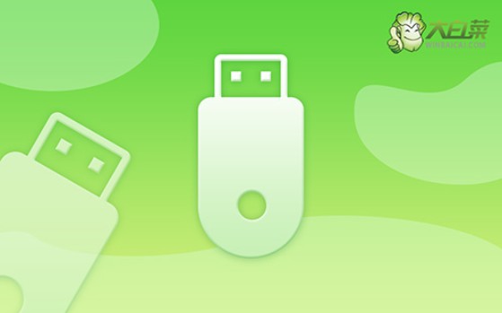 大白菜装机教程?大白菜重装win7系统方法图解