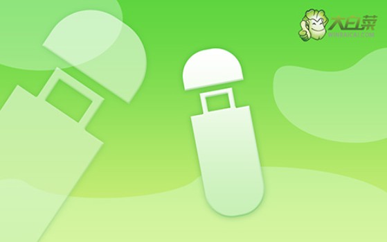 大白菜U盘怎么重装系统-怎么使用大白菜U盘重装系统